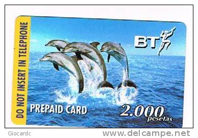 SPAGNA (SPAIN) - BT BRITISH TELECOM (REMOTE) - DOLPHINS  EXP. 12.99 - USED -  RIF. 4236 - Delfines