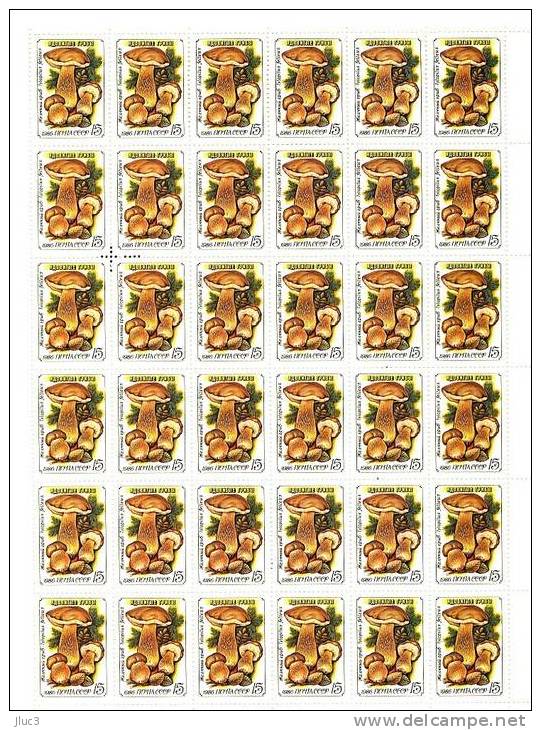 FC5307 - RARE - URSS 1986 - La Magnifique FEUILLE  Entière Neuve** De  36  TIMBRES  N° 5307 (YT) --  FLORE : Champignons - Hojas Completas