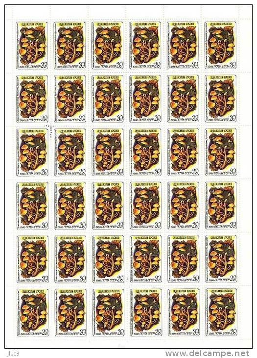 FC5308 - RARE - URSS 1986 - La Merveilleuse FEUILLE  Entière Neuve**  De  36 TIMBRES  N° 5308 (YT) - FLORE : Champignons - Feuilles Complètes