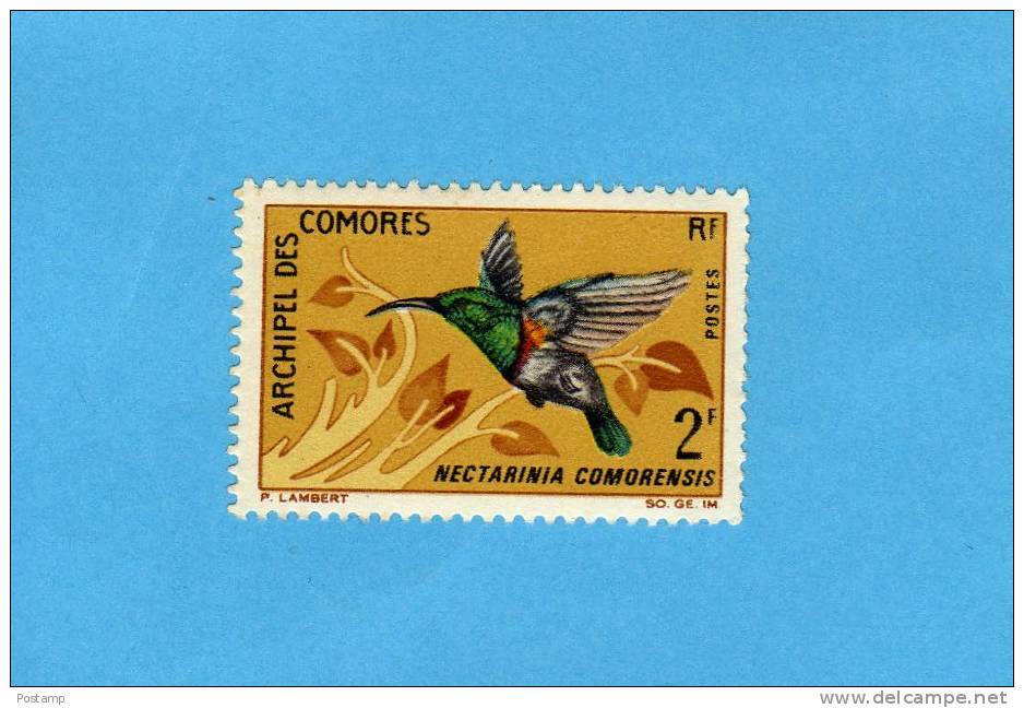 COMORES--N°41 Oiseau Nectarine -tp -neuf ***sans Trace De Charnière Gomme D'origine--cote 2,7eu - Autres & Non Classés