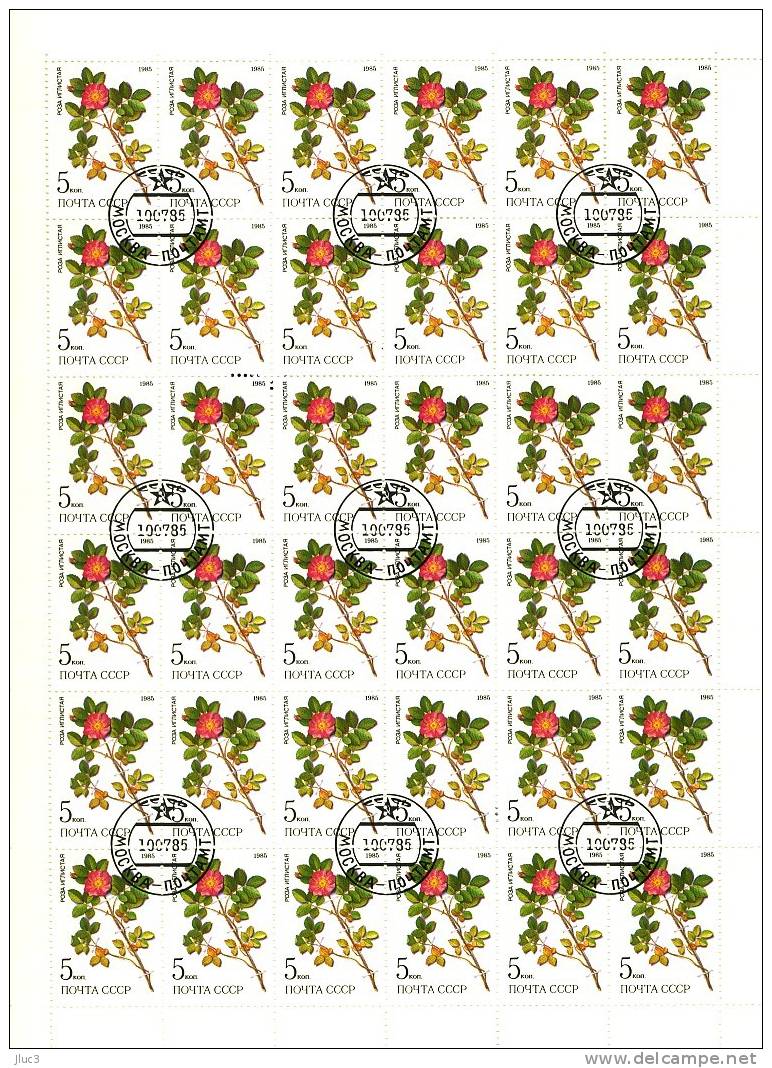 FCO5234 - URSS 1985 - La FEUILLE Entière 36 TIMBRES  N° 5234 (YT) Avec Empreinte 'PREMIER JOUR' - Rose+Plante Médicinale - Fogli Completi