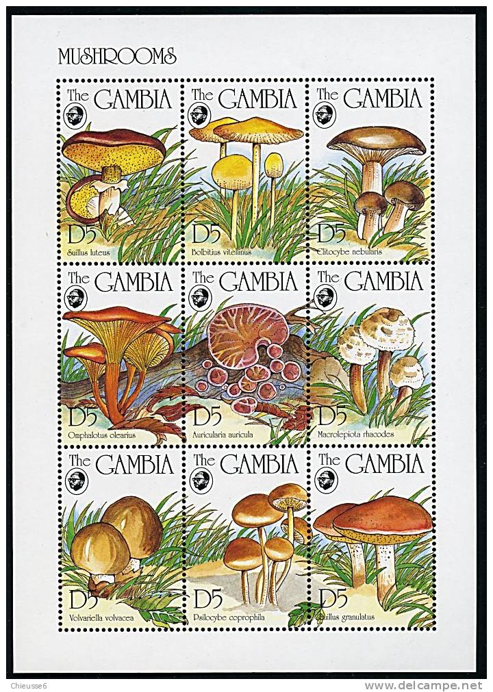 Gambie ** N° 1689 à 1697en Feuille  - Champignons (9 P53) - Gambie (1965-...)