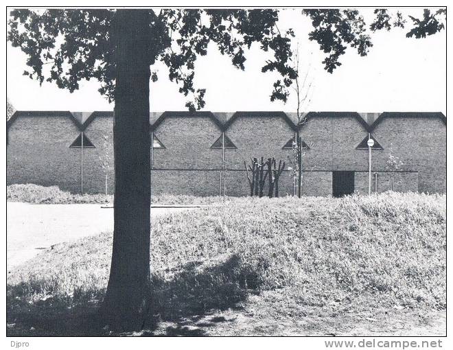 Norg  De Brinkhof   Achterzijde Van De Sporthal - Norg