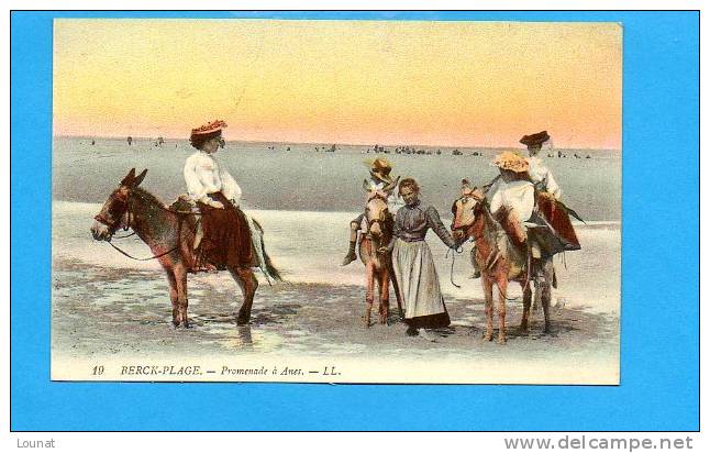 62 BERCK - PLAGE : Promenades à ânes - Anes