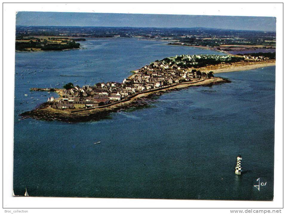 L´Ile Tudy - Vue Générale 1974 - Jos - Iris V. 1021 - Ile Tudy