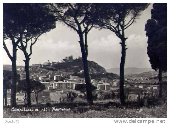 Campobasso - Panorama - Viaggiata - Campobasso