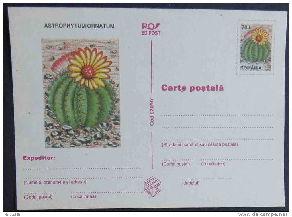 CACTEES - CACTUS / ENTIER POSTAL ILLUSTRE (ref 1212) - Cactus