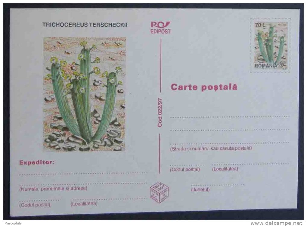 CACTEES - CACTUS / ENTIER POSTAL ILLUSTRE (ref 1210) - Cactusses