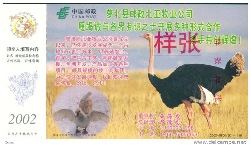 Bird Ostriches    ,   Specimen     Prepaid Card  , Postal Stationery - Autruches