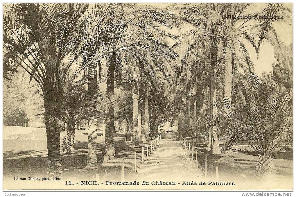 06 NICE  PROMENADE DU CHATEAU  ALLEE DE PALMIERS   C1521 - Parchi E Giardini
