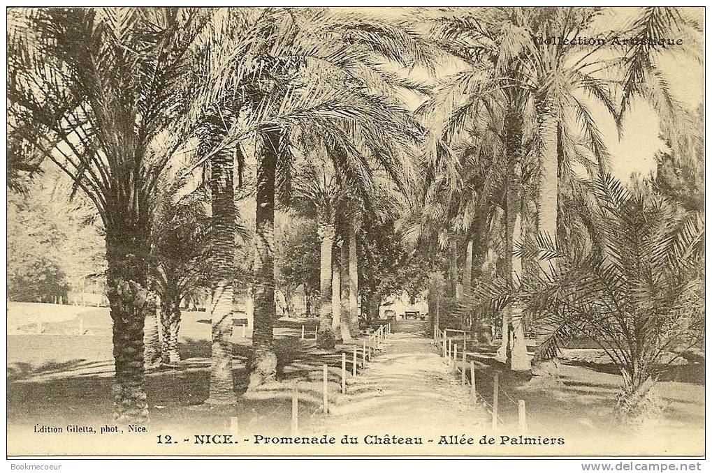 06 NICE  PROMENADE DU CHATEAU  ALLEE DE PALMIERS   C1521 - Parken En Tuinen