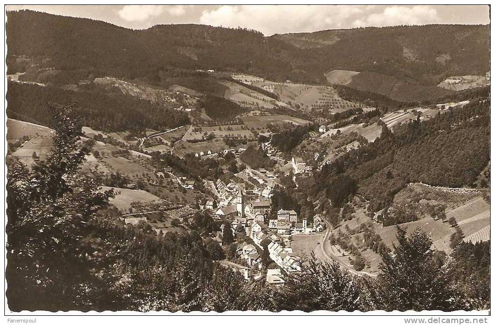 BAD PETERSTAL (Schwarzwald)   400-1000m ü. D. M. Mit Blick Ins Renchtal - Bad Peterstal-Griesbach