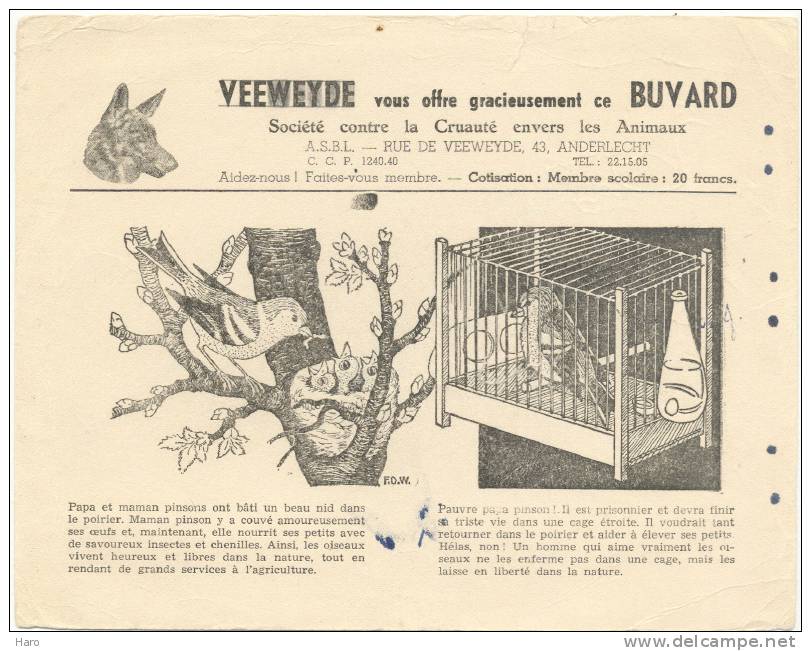 Buvard Offert Par Le VEEWEYDE - Anderlecht - Pinson - Oiseaux- Contre La Cruauté Envers Les Animaux - Autres & Non Classés