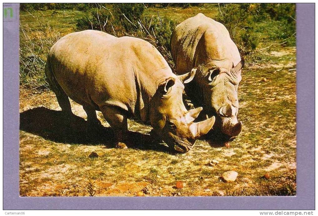 11 - Sigean - Réserve Africaine - Couple Rhinocéros (zoo) - Sigean