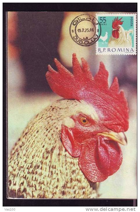 HEN BIRD 1975 CM, MAXICARD,MAXIMUM CARD ROMANIA. - Gallinacées & Faisans