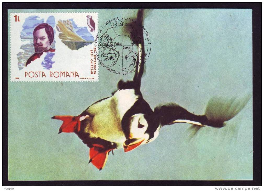 FRATERCULA  ARCTICA ,1990 , MAXI CARD ROMANIA. - Pinguini
