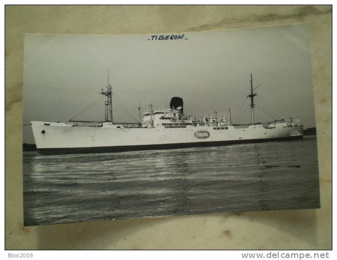 Photographie De Bateaux Le " TIBERON 1945"  HOLLANDE  N° 8 -MB7 - Commerce