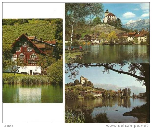 Werdenberg 7 Ansichtskarten Ab 1969 - Berg