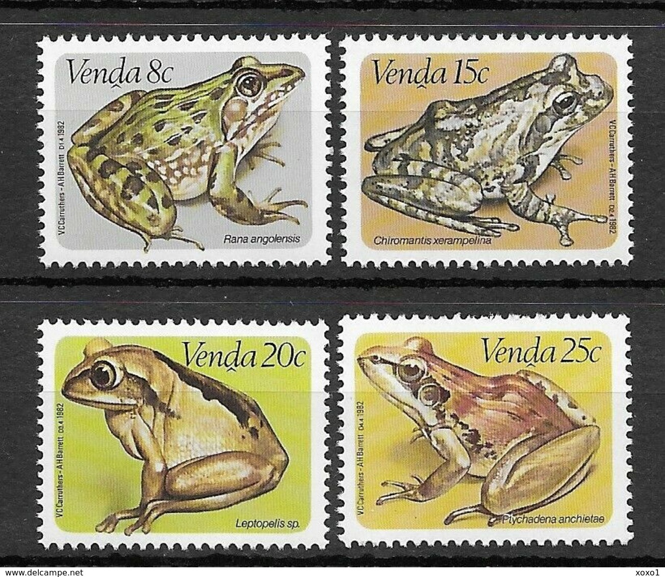 Venda South Africa 1982  MiNr. 66 - 69  amphibians Frösche Frogs 4v MNH** 2,60 € - Rane
