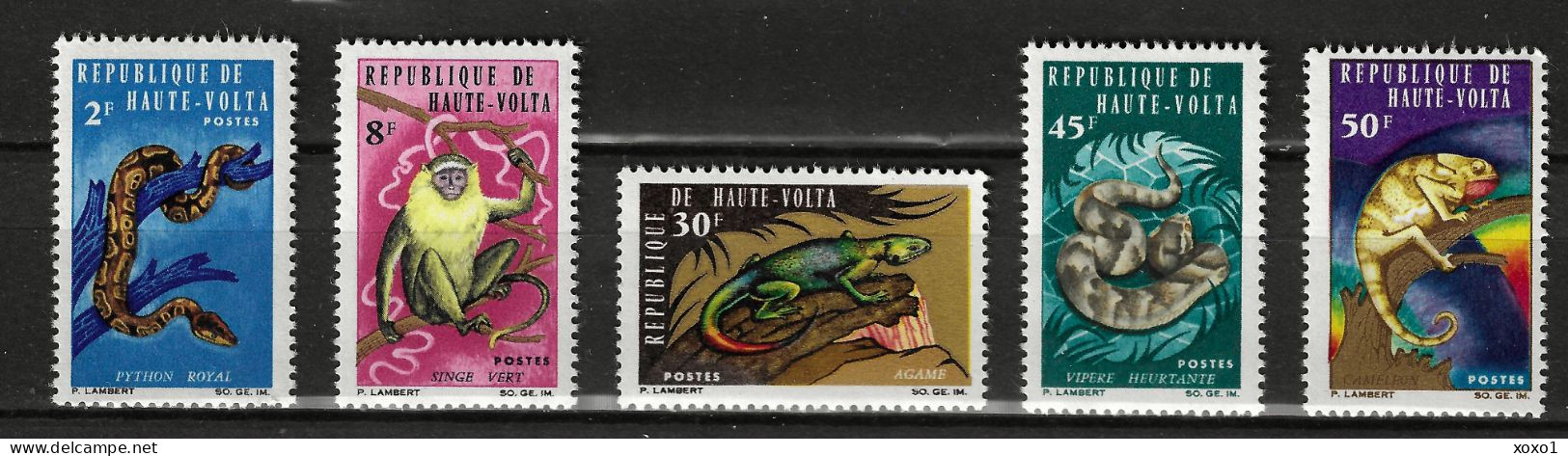 Upper Volta 1966 MiNr. 192 - 196  Obervolta Reptiles Snakes Monkeys  5v MNH**  8,00 € - Serpenti