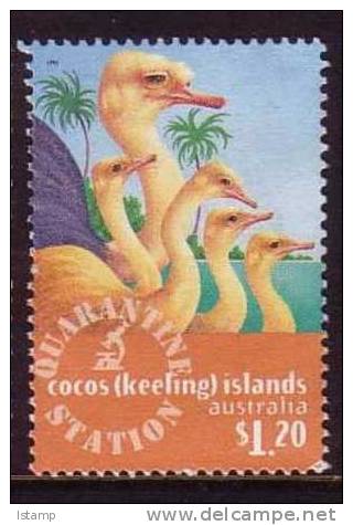 1996 - Cocos (keeling) Islands Quarantine Station $1.20 OSTRICH Stamp FU - Kokosinseln (Keeling Islands)