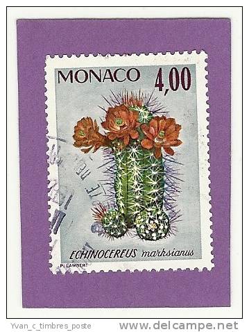 MONACO TIMBRE N° 1002 OBLITERE PLANTES DU JARDIN EXOTIQUE ECHINOCEREUS MARKSIANUS - Used Stamps