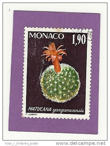 MONACO TIMBRE N° 1001 OBLITERE PLANTES DU JARDIN EXOTIQUE MATUCANA YANGANUCENSIS - Used Stamps
