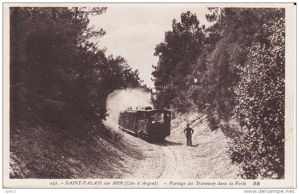 232   -   SAINT-PALAIS Sur MER  (Côte D'Argent)    -    Passage Du Tramway Dans La Forêt - Dampierre-sur-Boutonne