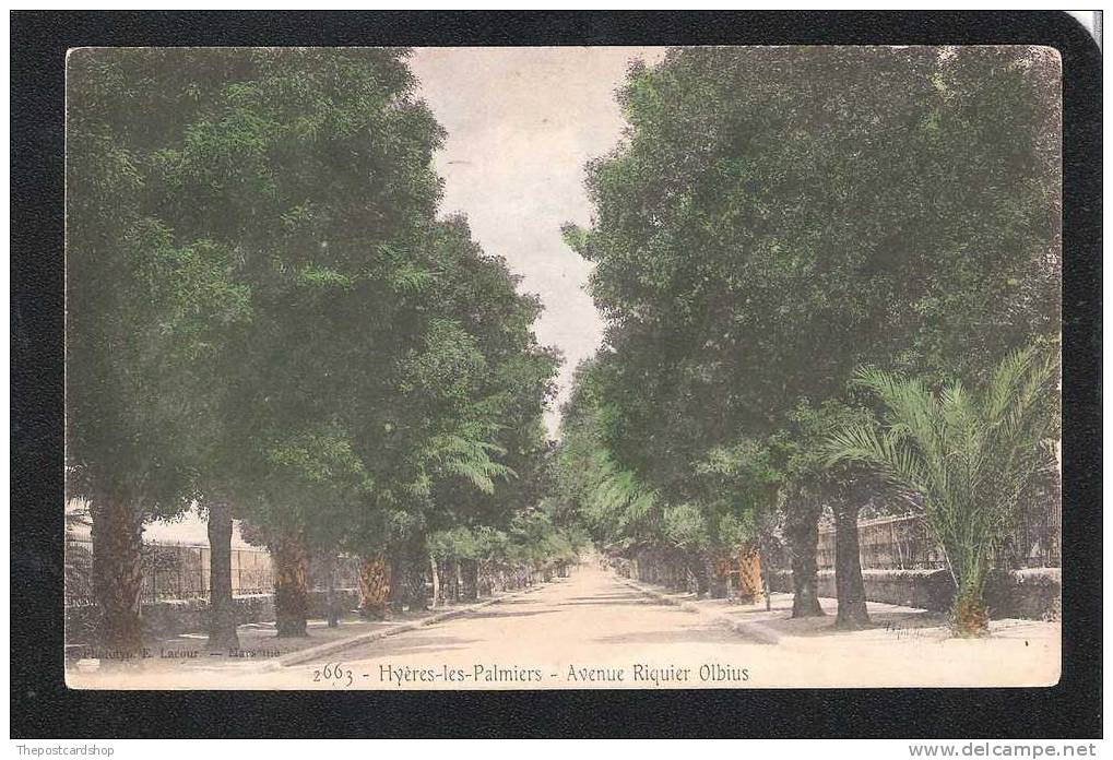 CPA 83 NO.2663 Hyères-les-Palmiers  Avenue Riquer Olbius More FRANCE FOR SALE @1 EURO OR LESS - Hyeres