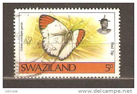 SWAZILAND 1992 - BUTTERFLY 5 - USED OBLITERE GESTEMPELT - Swaziland (1968-...)