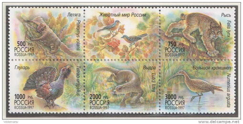 Russia 1997 Mih. 597/601 Fauna Animal World Of Russia MNH ** - Unused Stamps