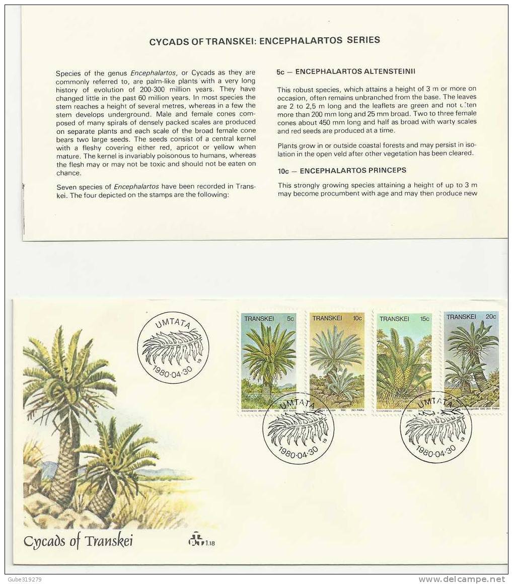 TRANSKEI-1980- 3 PIECES  FDC PALM TREES-CYCADS OF TRANSKEI  - 30 APR 1980  WITH 4 STAMPS OF5 -10-15-20  CENTS  - REF.09 - Transkei