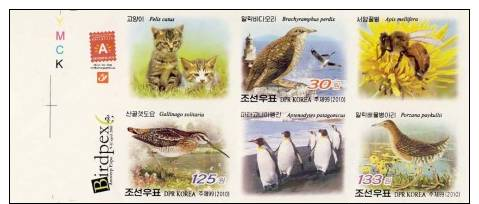 Nk10a12pi DPR Korea 2010 Cat Ligthhouse Bird Bee Penguin Imperf Booklet Block Proof - Gatti