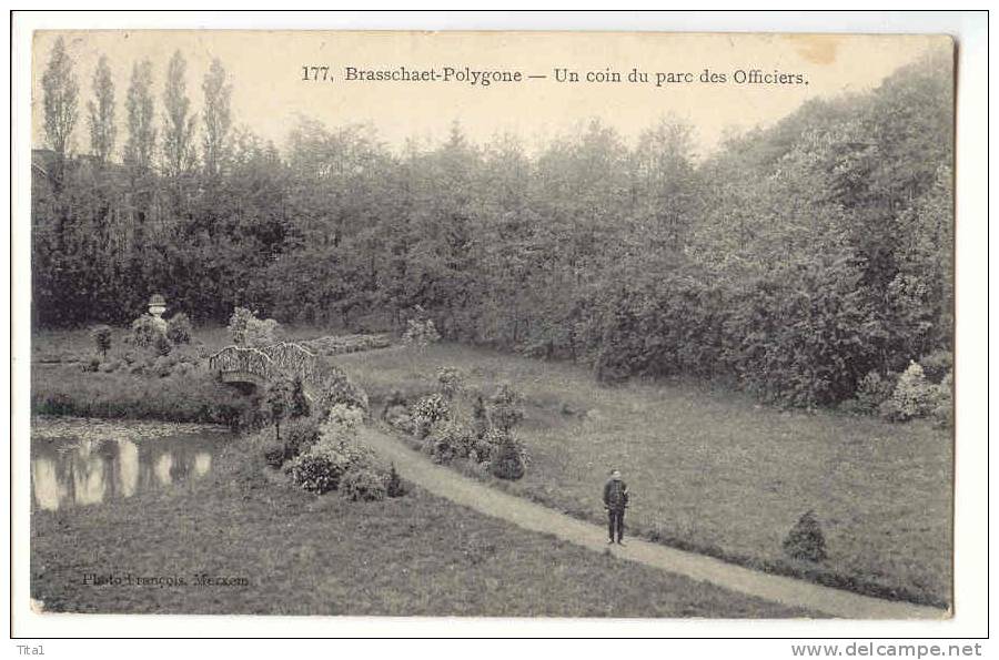 D4621 - Brasschaet - Polygone - Un Coin Du Parc Des Officiers - Brasschaat