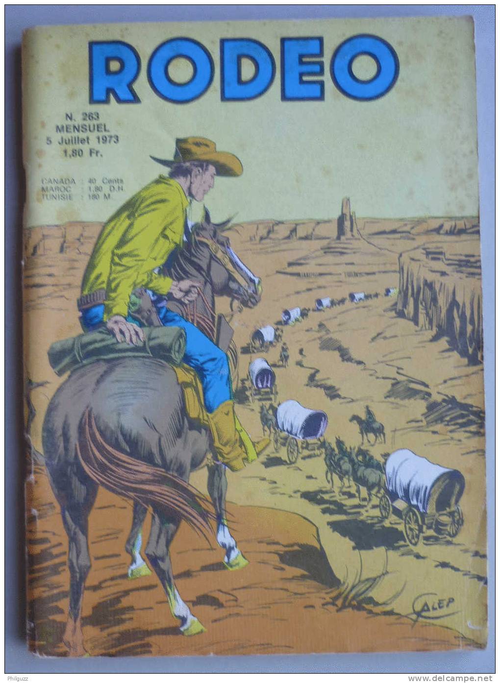 RODEO N° 263 (2) LUG MIKI LE RANGER - TEX WILLER - Rodeo