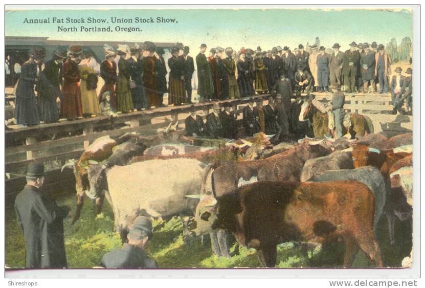 Annual Fat Stock Show Union Stock Show North Portland Oregon 1914 Worlds Panama Pacific Exposition - Portland