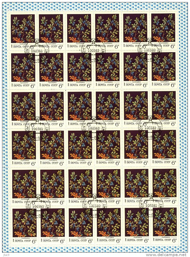 FCO4888 - URSS 1982 - La  Belle  FEUILLE  De 36  TIMBRES  N° 4888 (YT)  Avec  Empreinte  'PREMIER JOUR' - Baies Sauvages - Volledige Vellen