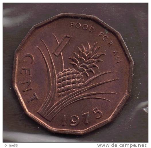 SWAZILAND 1 CENT  1975  FAO  SPL_AU - Swazilandia