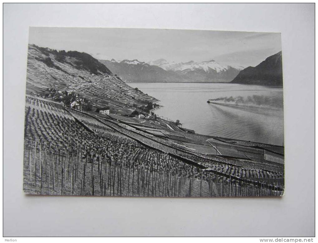 Suisse  VD  LAVAUX  -prés De Riex Et Les Alpes   D72712 - Riex