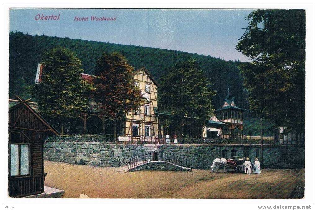 D2106 :  OKERTAL : Hotel Waldhaus - Bad Grund