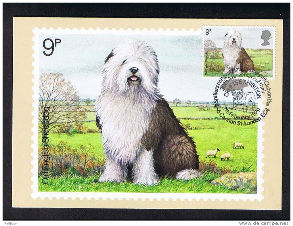 RB 682 - GB 1979 - PHQ Maximum Cards Set Of 4 First Day Issue - Dogs - Animal Theme - PHQ-Cards