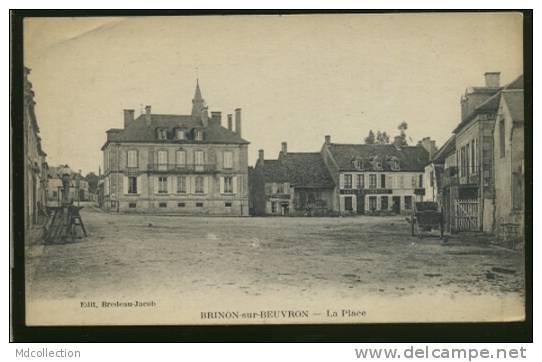 58 BRINON SUR BEUVRON / La Place / - Brinon Sur Beuvron