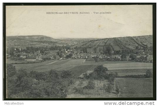 58 BRINON SUR BEUVRON / Vue Générale / - Brinon Sur Beuvron