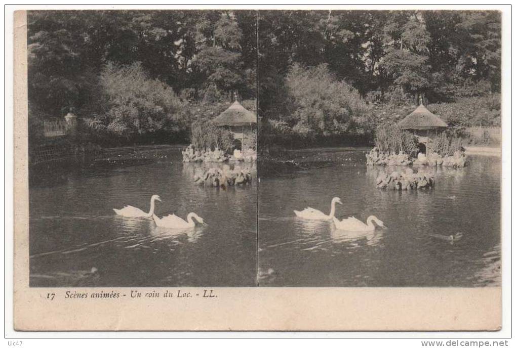 - Carte Stréréoscopique - Scènesanimées.- Un Coin Du Lac. - - Stereoscopische Kaarten