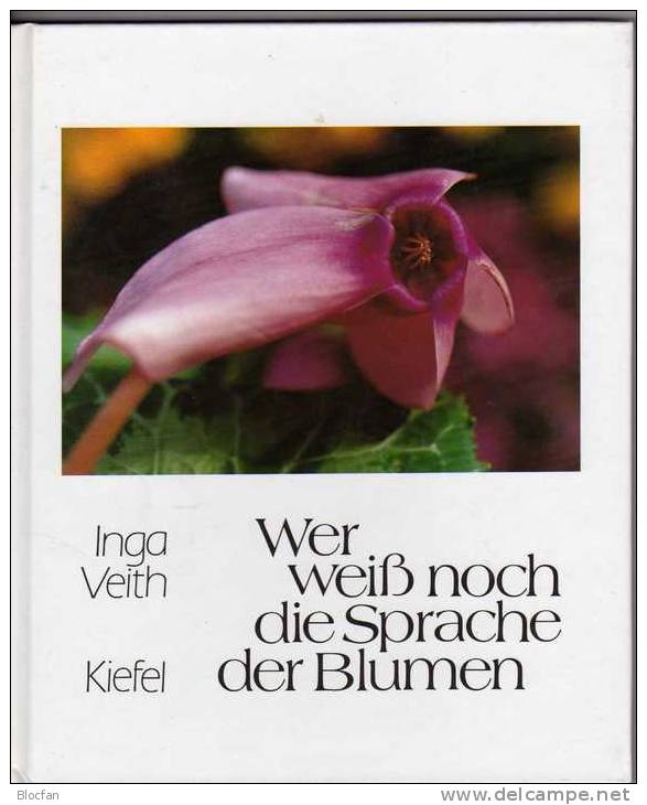 Wer Weiß Noch Die Sprache Der Blumen Wie Neu 6€ Gedichte Sinnsprüche  Blumenfotos Kiefel-Verlag 1991 ISBN 3 7811 56060 0 - Filosofie