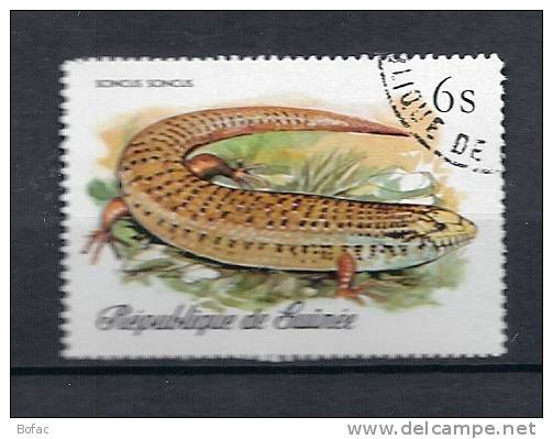 602     (OBL)  GUINEE REPUBLIQUE  (reptiles Python Régius) - Serpenti