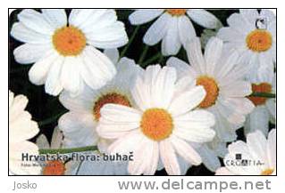 BUHAC 100. KUNA ( Kroatien High Value , Only 25.000 Ex ) Flower Fleur Flor Blume Fiore Bloem Flowers Fleurs Flors Blumen - Blumen