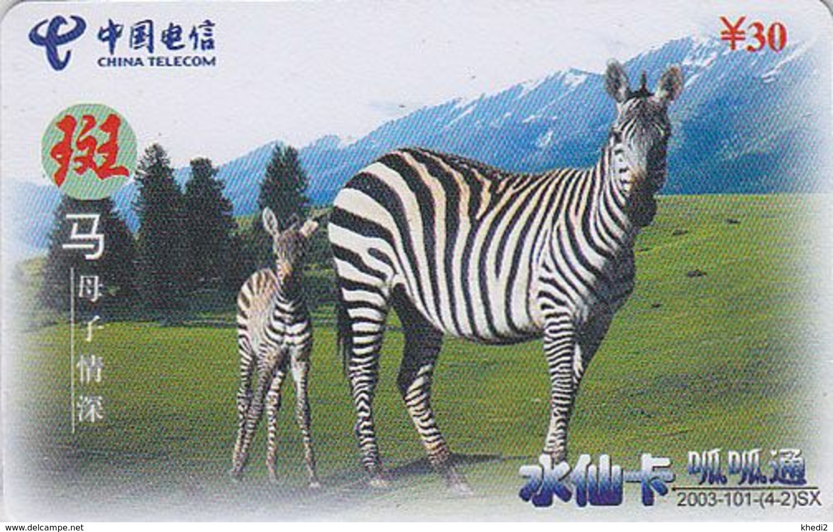 Télécarte Chine / Animal Jungle - ZEBRE & Son Petit - ZEBRA EarlyChina Telecom Phonecard Telefonkarte - BE 28 - Autres & Non Classés