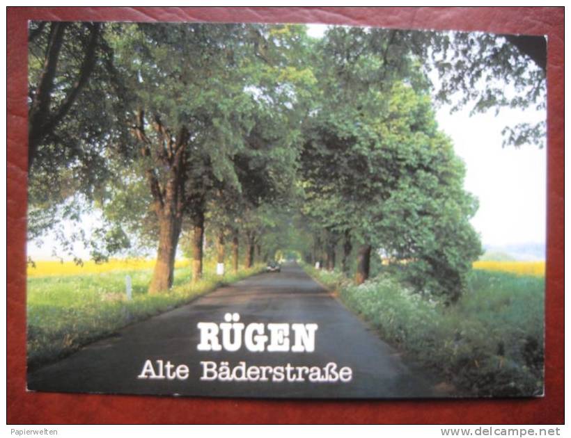 Rügen - Alte Bäderstraße - Rügen