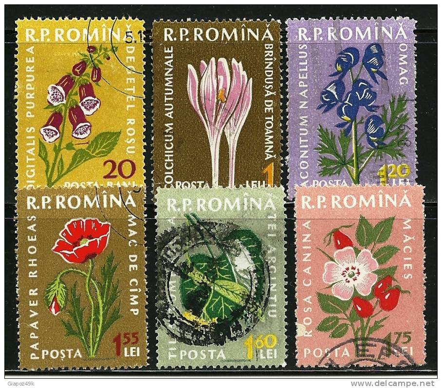 ● ROMANIA 1959 - PIANTE -  N. 1652 . . . Usati  - Cat. ? € - Lotto N. 964 - Oblitérés